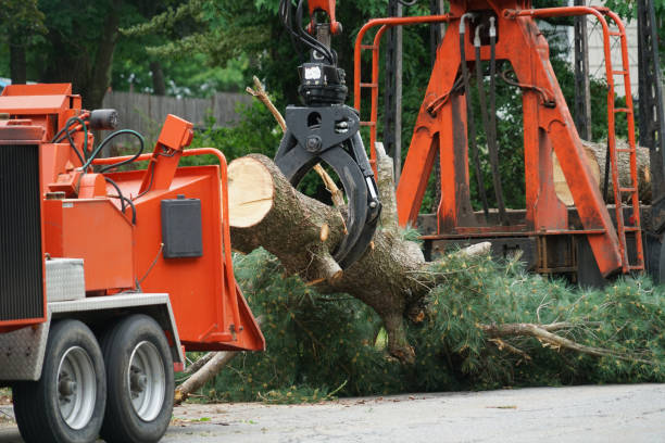 Best Lawn Pest Prevention  in Kingstown, MD